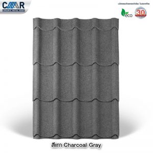 %e0%b8%aa%e0%b8%b5%e0%b9%80%e0%b8%97%e0%b8%b2-charcoal-gray